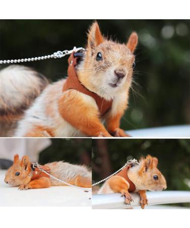 Buy Squirrel Traction Rope Belt & Adjustable Vest - Anti-Bite Chain for Small Animals | Perfect for Hamsters Mice Rats Ferrets & Chinchillas - Buy Online on GoSupps.com