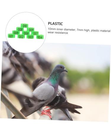 BESPORTBLE 300 Pcs Pigeon Anklet Chicken Drumsticks Tag Bands for Pigeon Birds Supplies to Open Label Tape Baby 1.3X1.3CMx3pcs Greenx3pcs - Buy Online on GoSupps.com