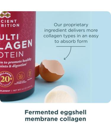 Ancient Nutrition Collagen Peptides Powder Multi Collagen Protein Women & Men Vitamin C Probiotics Hydrolyzed Collagen Supports Skin Joints Gut Health Unflavored 40 Servings Unflavored 40 Servings - Buy Online on GoSupps.com