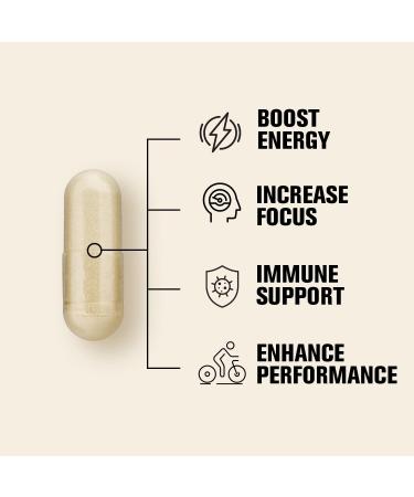 Zen American Ginseng 500mg - 100 Capsules. Premium Quality Panax Quinquefolius Daily Supplement - Buy Online on GoSupps.com