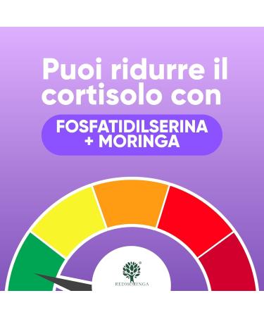  RedMoringa LOW CORTISOLO Phosphatidylserine 450 mg + Moringa Oleifera Organic | For Cortisol Lowering Stress Belly | Memory Supplement and Concentration | 150 Vegetable Capsules Made in Italy | - Buy Online on GoSupps.com