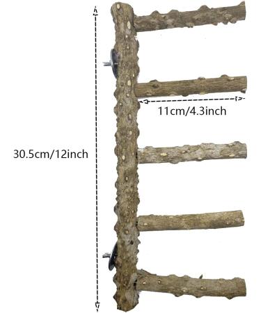 Allazone 3-Piece Nature Bird Accessories Set | Wooden Ladder Pole & Toys for Parrots & Canaries - International Shipping Available - Buy Online on GoSupps.com