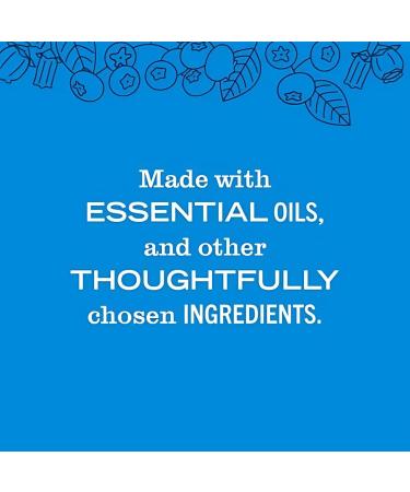 Mrs. MEYER'S Clean Day Blueberry Scent Variety Pack Liquid Hand Soap 12.5 OZ Multi-Surface Cleaner 16 OZ Liquid Dish Soap 16 OZ Room Freshener 8 OZ 1 CT - Buy Online on GoSupps.com