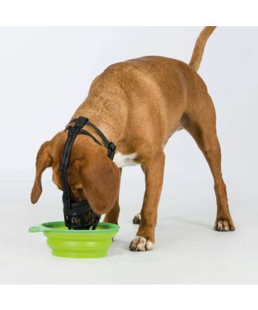 TRIXIE Dog Muzzle - Size L-XL - Black | Comfortable & Secure Fit for Large to X-Large Breeds - Buy Online on GoSupps.com