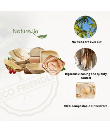 Naturelia 100% Compostable 6-Inch Palm Leaf Disposable Plates Square- Biodegradable Bamboo Plates for Wedding Party & Picnic | Eco Friendly and Natural Appetizer Plates - Microvave Safe - Buy Online on GoSupps.com