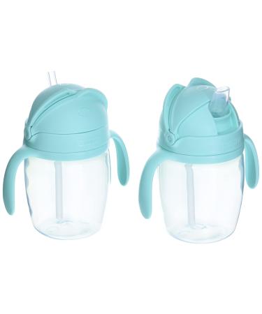 Skip Hop Toddler Sippy Cup Sip-to-Straw 2pack