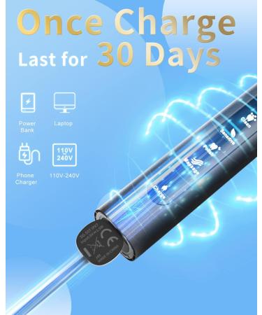 SEAGO Ultrasonic Electric Toothbrush for Adults | Rechargeable with 8 Brush Heads | Black SG-507 H8 - Buy Online on GoSupps.com