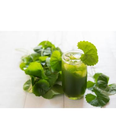 Mynatura Organic Gotu Kola Powder - Ayurvedic Stress Relief & Concentration | 3x300g | International Shipping - Buy Online on GoSupps.com