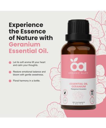 Egyptian Geranium Essential Oil by Organic Alley | 100% Pure Undiluted & Natural Pelargonium Graveolens Essential Oil | Non-GMO for Hormonal Balance Skin Mood & Pleasant Scent (1 Fl Oz) - Buy Online on GoSupps.com