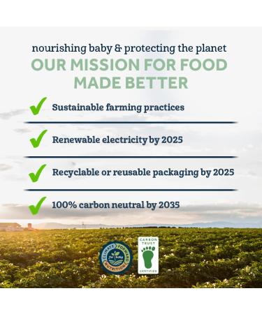 Gerber Organic 1st Foods Grain & Grow Oatmeal Baby Cereal 8oz (Pack of 6) - Healthy Infant Meal Option - Buy Online on GoSupps.com