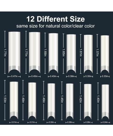 480 Pieces Extra Long C-Curve Nail Tips Extra Long U shape Curve Nail Tips XL Transparent Acrylic Nail Tips Half Cap False Nail Tips 12 Different Sizes for DIY Nails (Transparent Natural Colors) G1161397 - Buy Online on GoSupps.com