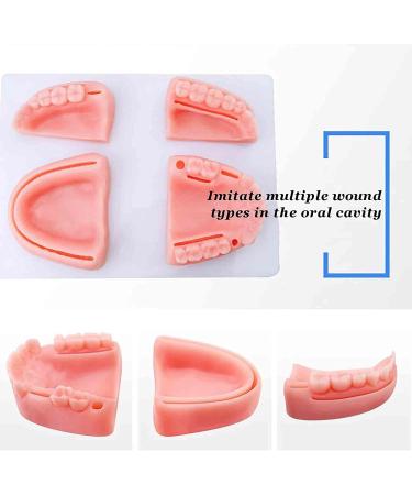 Oral Seam Tools & Gum Cutting Training Equipment for Dentistry Students International Shipping Available - Buy Online on GoSupps.com