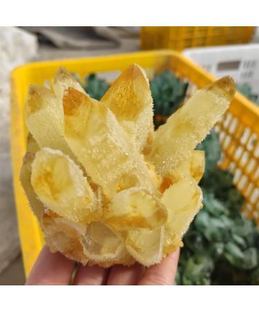 Home Decoration 500-1000g Natural Yellow Ghost Phantom Quartz Crystal Cluster Specimen Home Decoration Office Living Room Crystal Decora Stones PEIQIYIN Stone Mineral Specimen (Size : 900-1000g) - Buy Online on GoSupps.com