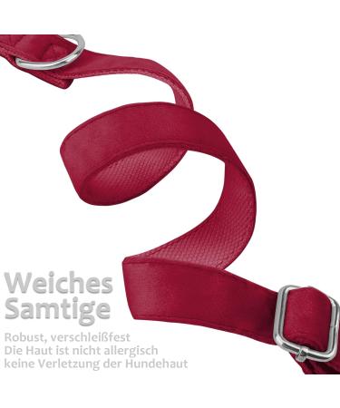 Asvin Velvety Dog Collar - Soft & Comfortable with Removable Dog Fly | Multi-Color for Weddings Birthdays & Parties - International Shipping Available - Buy Online on GoSupps.com