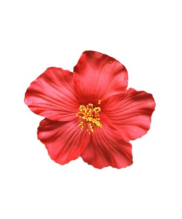 Flowers hair clip hair clip flowers multi -colored roses hairdresses hair jewelry for girls women party beach wedding (red one size) 1 piece (1 Pack) red