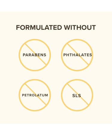 Burts Bees Mango Moisturizing Lip Balm 0.15 oz | Unisex Lip Care | International Shipping Available - Buy Online on GoSupps.com