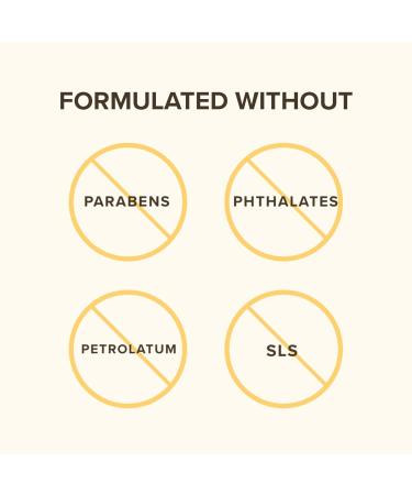 Burt's Bees 100% Natural Lip Balm with Beeswax & Turmeric - Soothing Relief | International Shipping - Buy Online on GoSupps.com