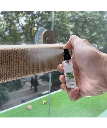 Buy ZOUBAOQ Herbal Joy Spray for Cats - Celery & Matatabi Catnip Spray - 2pcs 20ml - Best International Shipping - Buy Online on GoSupps.com