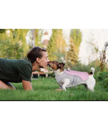 TVMall Dog Cooling Vest | Breathable Mesh Jacket for All Dog Sizes | Adjustable Summer Coat with Reflective Strip | New Pink - Buy Online on GoSupps.com
