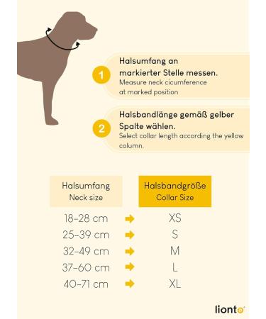 Lonto XS Dog Collar - Durable Nylon Soft Padded 360 Reflective Click Closure - Adjustable Blue Collar for Small Dogs - Buy Online on GoSupps.com