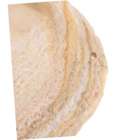 ROMISBABA 2pcs Pet Bowl Bearded Dragon Water Bowl Terrarium Water Bowl Reptile Feeding Dish Animal Resin Beige - Buy Online on GoSupps.com