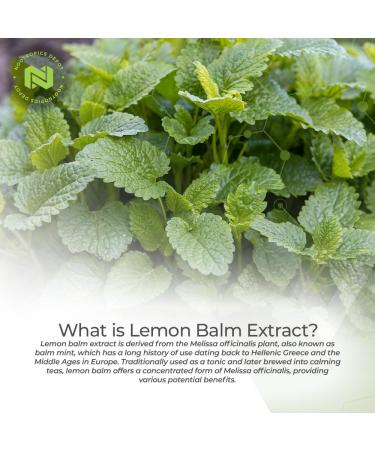 Nootropics Depot Lemon Balm Extract Tablets | 500mg | 120 Count | 10:1 Water Ethanol Extract - Buy Online on GoSupps.com