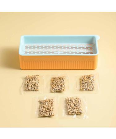 Hydroponic Cat Grass Kit Hydroponics Growing System Garden Kit Soil Growing Catnip Cat Grass with Planting Box for Indoor Household (Blue Orange) - Buy Online on GoSupps.com