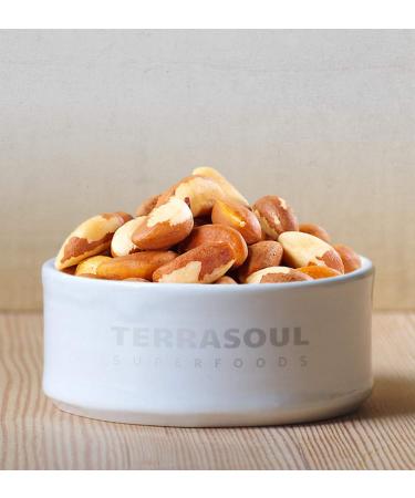 Organic Brazil Nuts - 1 lb Raw & Unsalted | Rich in Selenium | Terrasoul Superfoods - Buy Online on GoSupps.com