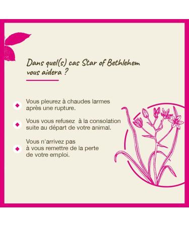 Bach Original Flower Remedies - Star of Bethlehem Drops 20ml | Natural Stress Relief & Emotional Support - Buy Online on GoSupps.com