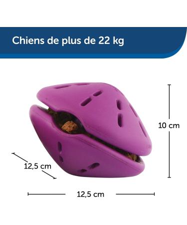 PetSafe Twist-n-Treat Dog Toy | Fillable Treat Toy | Customizable Dispensing & Dishwasher Safe | Purple L - Shop Now for International Shipping! - Buy Online on GoSupps.com