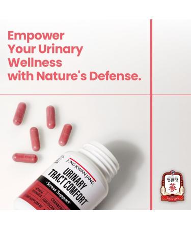 Urinary Tract Comfort Formula with Parcran Cranberry & American Ginseng - 60 Capsules - Buy Online on GoSupps.com