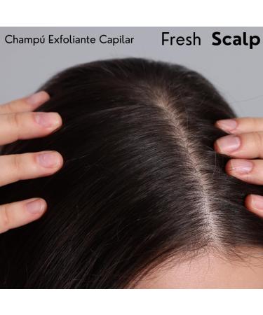  MOI MOISES CAMPO Fresh Scalp Exfoliating Hair Shampoo with Jojoba Beads 250 ml M O I HAIRCARE - Buy Online on GoSupps.com