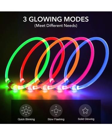 BSEEN LED Dog Collar Light - USB Rechargeable Glowing Collar for Small, Medium & Large Dogs in Green - Buy Online on GoSupps.com