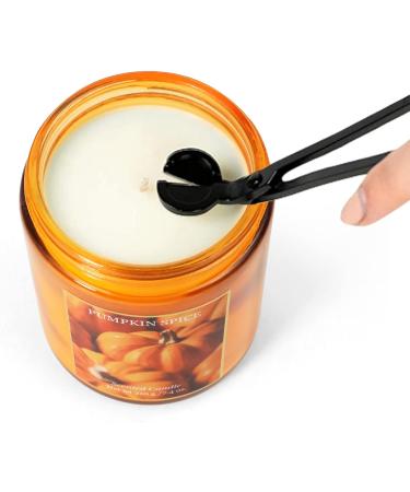 SCENTORINI Pumpkin Spice Scented Candle - 7.4 oz Natural Soy Wax | Perfect Halloween & Fall Aromatherapy Gift  - Buy Online on GoSupps.com