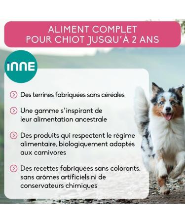 Nutrivet - INNE Dog - TERRINE - Puppy Growth - Lamb 150g - Buy Online on GoSupps.com