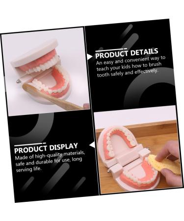 Healvian 2 Sets Early Dental Education Toys - Wooden Reusable Clean Model for Preschool Learning | International Shipping - Buy Online on GoSupps.com