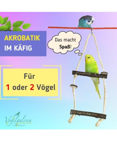 Handmade Natural Wood Budgie Swing for Two Birds | Bird Gallery | Premium Bird Toys - Buy Online on GoSupps.com
