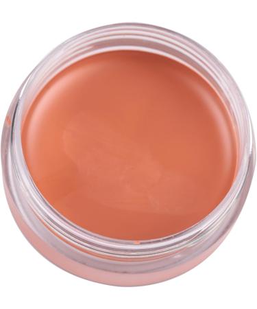  HELEVIA Popfeel 5 Colours Concealer Concealer Concealer Eye Bags for Acne Make-Up (FC04) - Buy Online on GoSupps.com