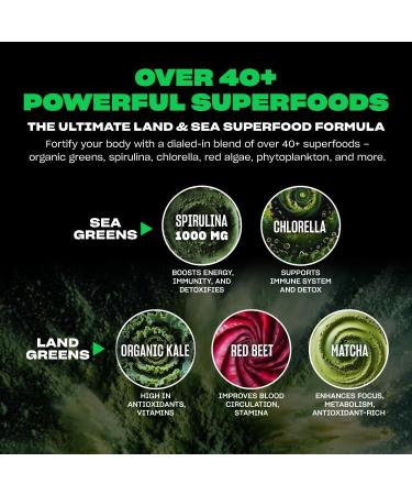 Mutant Big Greens | Green Supplement | Over 40 superfoods Land & Sea Greens Reds Antioxidants phytonutrients 1000mg spirulina Pre & Probiotic Blend | 30 Serving Just Chocolate Chocolate 8.68 Ounce (Pack of 1) - Buy Online on GoSupps.com