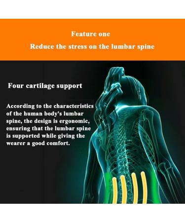 Adjustable Lumbar Spine Support Belt | Waist Pain Relief & Posture Corrector | Breathable Design for Men & Women XL Size - Buy Online on GoSupps.com