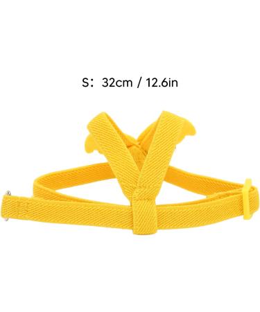 Premium Pet Parrot Bird Dishes & Leash - Adjustable Outdoor Flight Set for Parrots & Nymphensitties | Training Rope & Flight Guidance - Buy Online on GoSupps.com