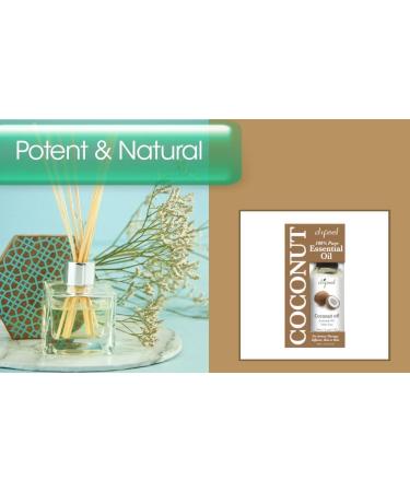 Difeel 100% Pure Essential Oil - Coconut Oil Boxed 1 oz. - Buy Online on GoSupps.com