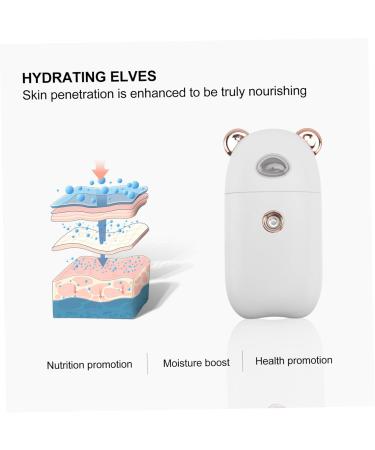 Hemoton 1pc Beauty Humidifier Facial Mist Sprayer Beauty Care Mister Face Face Moisturizing Mister Skin Humidifier Nano Facial Mister Face Steamer Face Sprayer 10.3X5.5CM - Buy Online on GoSupps.com