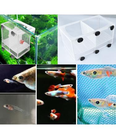 2 Pcs Nylon Mesh Aquarium Fish Fry Hatchery Isolation Box with Board - Buy Online on GoSupps.com