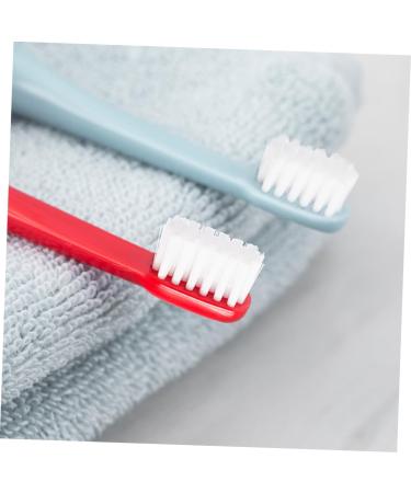 Shop Minkissy 2-Pc Hang-On Hooks - Space-Saving Travel Toothbrush Holders for Men & Women | Perfect for Camping & Travel - Buy Online on GoSupps.com