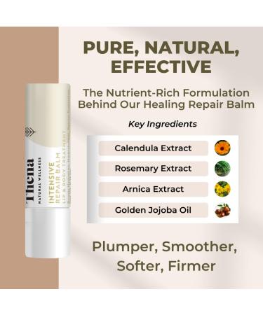 Organic Lip Balm Lip Treatment & Moisturizer for Dry Cracked Lips with Shea Butter & Vanilla Ultra-Hydrating & Nourishing Barrier-Repair Lip Therapy Natural Skin Care 3 Pack Women & Men Vanilla 0.15 Ounce (Pack of 3) - Buy Online on GoSupps.com