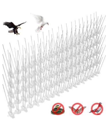 Abizarch Bird Spikes Deterrent Anti-Perch Pigeons Birds Cats Repeller Pest Control Wall Fence Garden Security ZHAZHAMO(one)