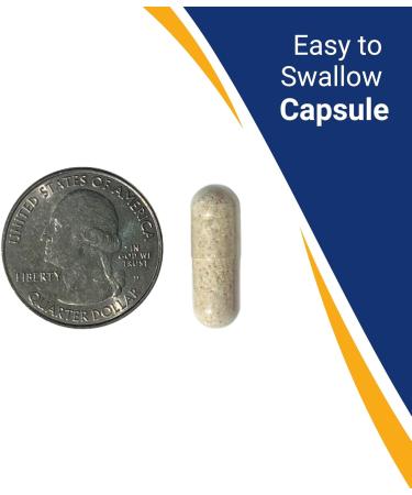 Building Blocks Multiple Vitamin Capsule for Bariatric Patients 90 Count 30 Day Supply - Buy Online on GoSupps.com