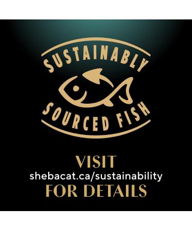 Sheba Perfect Portions Wet Kitten Food Pat Delicate Salmon Entr e 75g Tray (24 Pack) - Buy Online on GoSupps.com