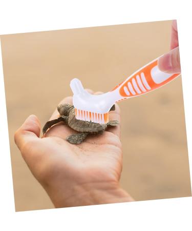 Beaupretty Turtle Shell Cleaning Brush grip cleaning brush turtle cleaning brush aquatic animal cleaning brush hamster cleaning brush toothbrush cleaner tool reptile care plastic water turtle 16x5cm As Shown 2 - Buy Online on GoSupps.com